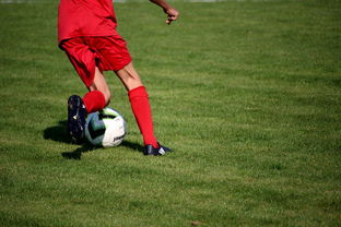 九游游戏中心下载-俱乐部青训体系与职业联赛脱节，俱乐部青训有工资吗